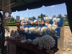 -日照灯塔风景区