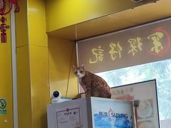 -琛仔记云吞面(紫金店)