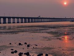 -宝安西湾红树林湿地公园