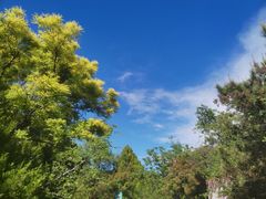 -府君山公园