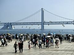 -星海广场