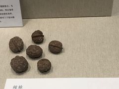 -深圳博物馆(古代艺术馆)