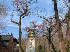 -灵谷景区