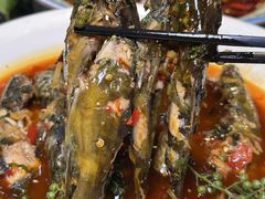 -阆辣荟餐饮(老味道8年·古城店)