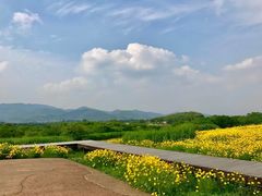 -良渚古城遗址公园