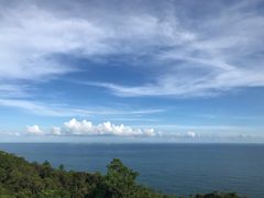 -广东惠东海龟国家级自然保护区