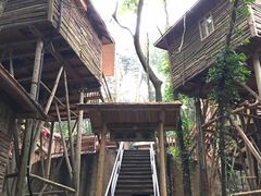-天门沟九州驿站树上汤泉