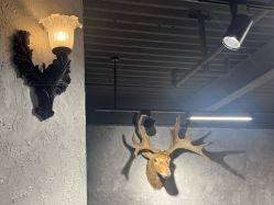 -極致刺青TATTOO STUDIO 私人订制