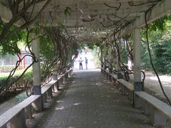 -莲花池公园