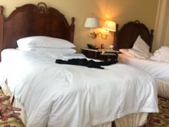 -广州富力丽思卡尔顿酒店