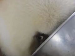 -bosphorus 铂斯西餐厅·土耳其烧烤(环市中路店)