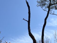 -广东花都湖国家湿地公园