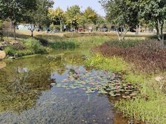 -海珠儿童公园