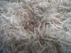 银鱼-新庆嫂渔港