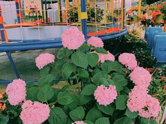 -凯德广场(金牛店)