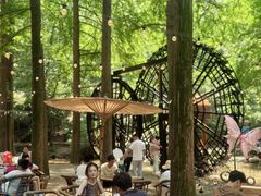 -波尔登森林公园