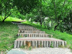 -北坞公园