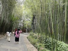 -竹泉村旅游度假区