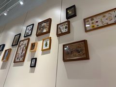 -行运海鲜食集(北京首店)