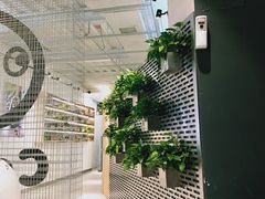 -CoCo都可(360丰产店)