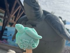 -广东惠东海龟国家级自然保护区