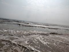 -日照海滨国家森林公园