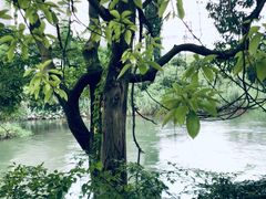 -贵阳市花溪国家城市湿地公园