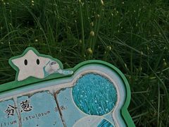 -天河儿童公园