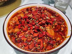 -雲蜀龙阁·金牌水煮鱼(方庄店)