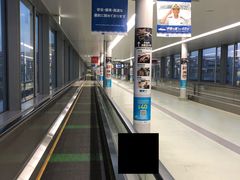 -中部国际机场