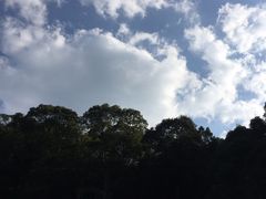 -广州市流溪河国家森林公园