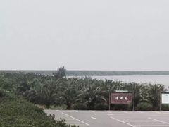 -漩门湾国家湿地公园