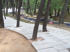 -林海公园
