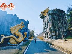 -宜兴龙背山森林公园