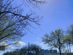 -成寿寺(地铁站)