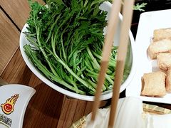 茼蒿-彤德莱(奥林店)