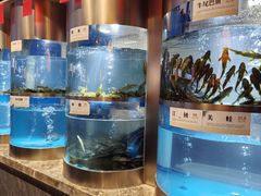 -老船舫·现做活鲜鱼馆(东郊记忆店)