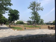 -田园东方蜜桃村的田野营地