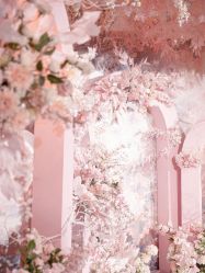 -红丝高端婚礼中心(旗舰店)