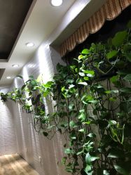 -佑米造型假发订制