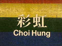 -彩虹村