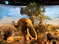 -陕西自然博物馆