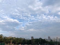 -名仕台球(保利广场店)