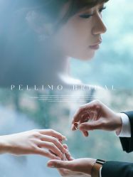 -派丽莫Pellimo原创设计婚纱品牌