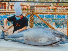 -三亚海昌梦幻海洋不夜城