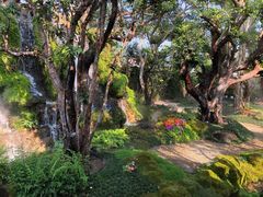 -Chom Cafe and Restaurant