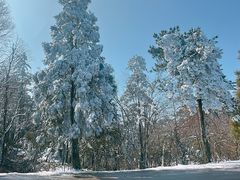 -大围山国家森林公园