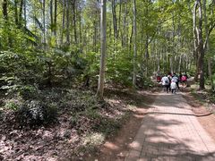 -大蜀山国家森林公园