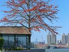 -喜洲吧·江畔老船厂·庭院餐厅(喜临院店)