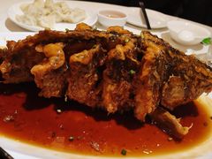 糖醋黄河鲤鱼-金春禧(世茂国际广场店)